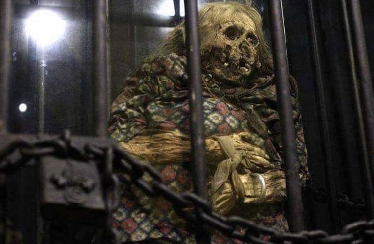 La maldición de La momia de Guanajuato.