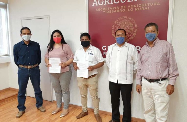 Buenas noticias para los campesinos de la región de la montaña: Caritino Maldonado.