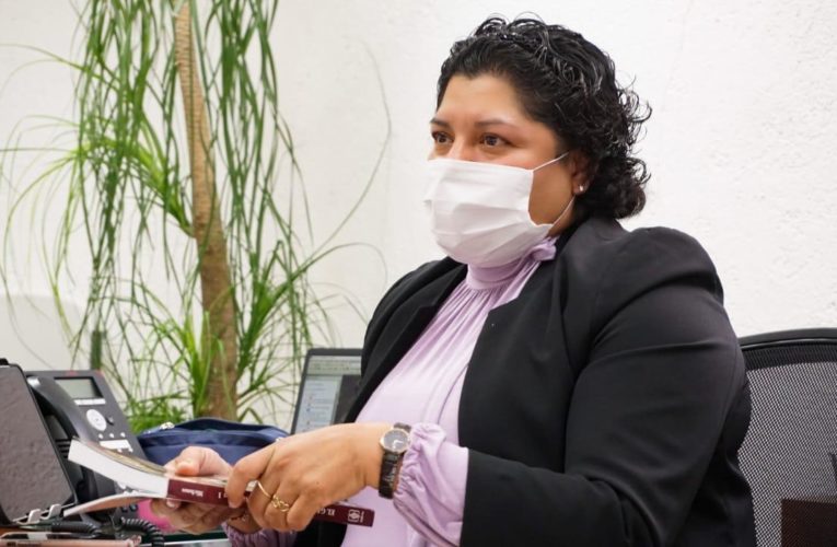 PRESENTA KARINA PÉREZ POPOCA “DIÁLOGOS EN RESILIENCIA: REFLEXIONES DE AGENTES DEL ARTE Y LA CULTURA”