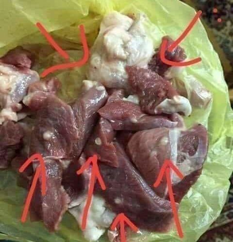 ATENCIÓN cuidado con las carnitas de puerco!!