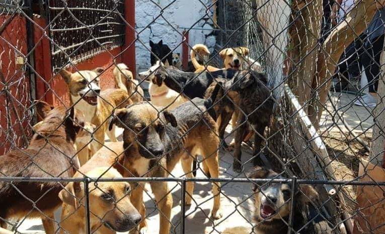 A los ciudadanos de #Atlixco: