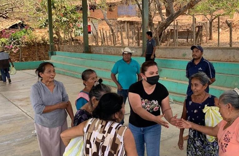 Entrega apoyo alimentario el diputado Manuel Quiñones.