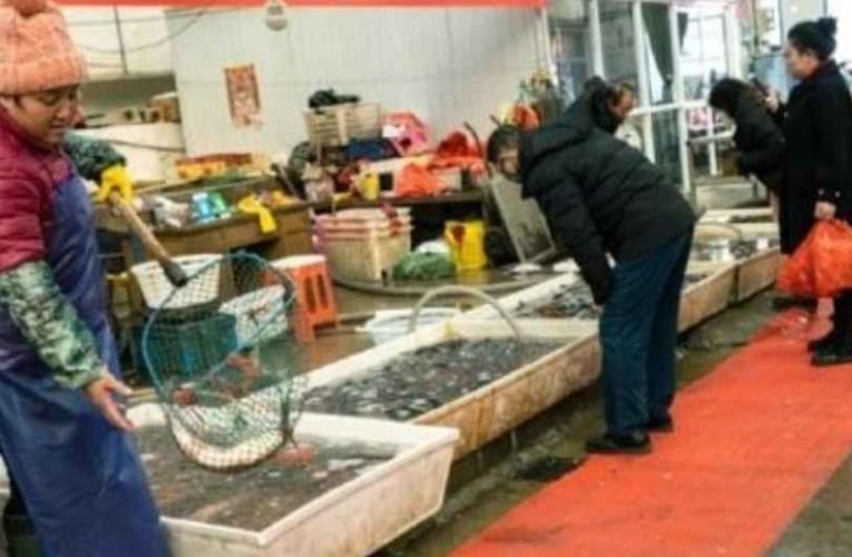 Detectan coronavirus en camarones; China suspende importación