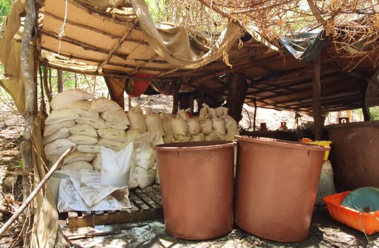 Sedena, GN y PEP aseguran 4 laboratorios de droga sintética en Culiacán.
