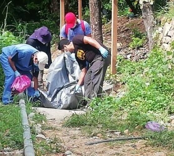 Localiza fosas clandestinas con cuerpos en Acapulco.