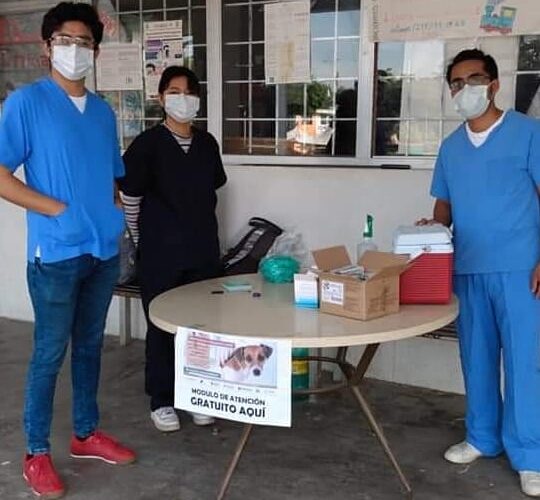 INICIA JORNADA DE VACUNACIÓN PARA PERROS Y GATOS EN EL MUNICIPIO DE TECAMACHALCO