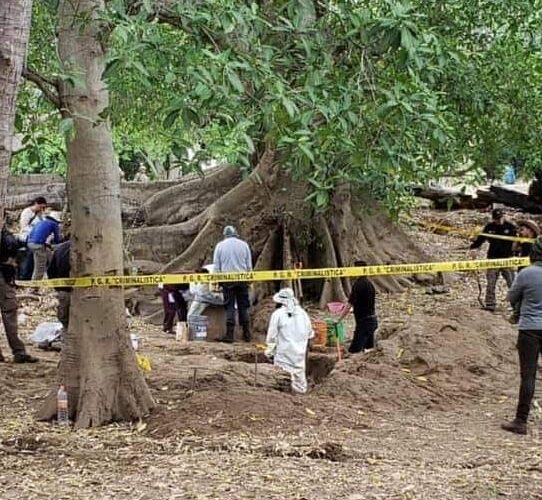 FGR REALIZARÁ TOMA DE MUESTRAS DE ADN EN ZIHUATANEJO.