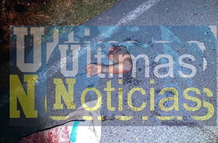 Localizan dos hombres descuartizados en Tepecoacuilco.