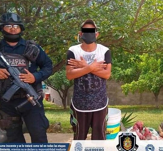 Asegura el Grupo Táctico “Centauro” a sujeto con carne de tortuga en Acapulco.
