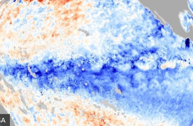 La imagen muestra las aguas más frías del Pacífico que caracterizan a La Niña.