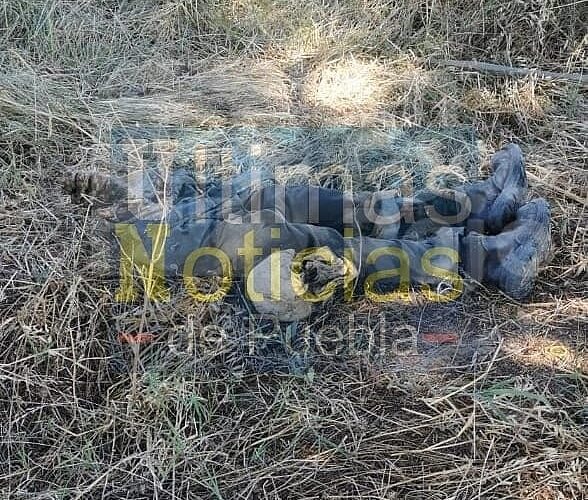 Localizan una osamenta humana San Martín Texmelucan.