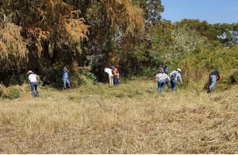 Localizan 33 narcofosas en Guanajuato.