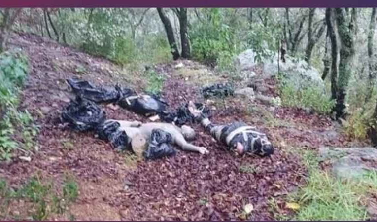 Localizan los cadáveres de 4 personas desaparecidas en Hidalgo.