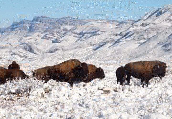 SORPRENDENTE NATURALEZA EN MÉXICO 2021.