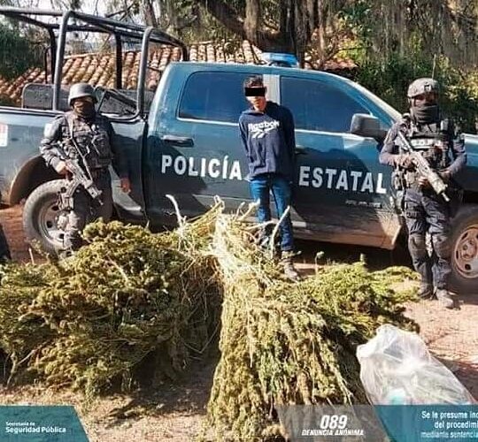 Asegura el Grupo “Jaguar” y la Policía Estatal a tipo y presunta droga en el municipio de Tetipac.