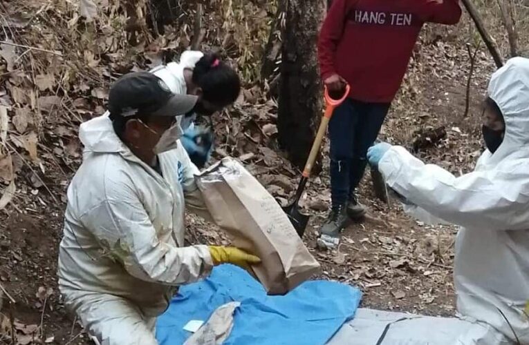 Localizan 8 fosas clandestinas en Acapulco.