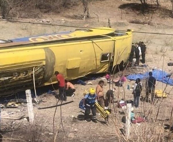 FUERA AUTOBUSES DE LA MUERTE EN LA MONTAÑA!!!