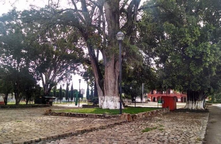 Les cayó un rayo a padre e hijo en Oaxaca.