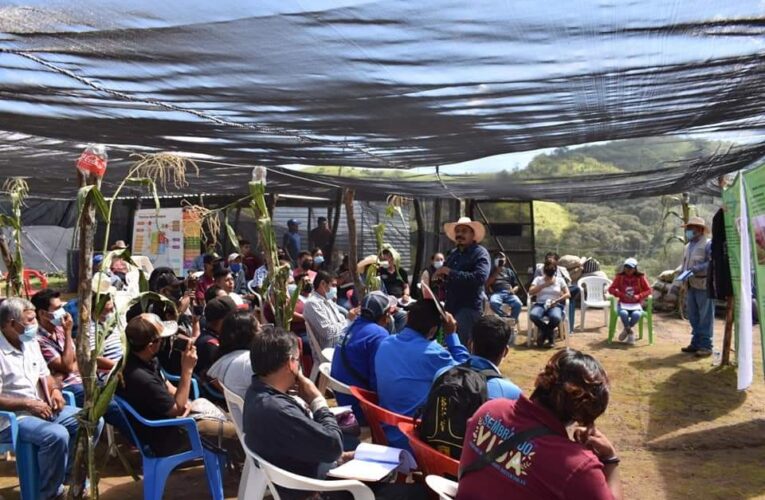 Taller de Capacitación en Elaboración de Abono Orgánico de Lombriz (Lombricultura) organiza el gobierno del estado.