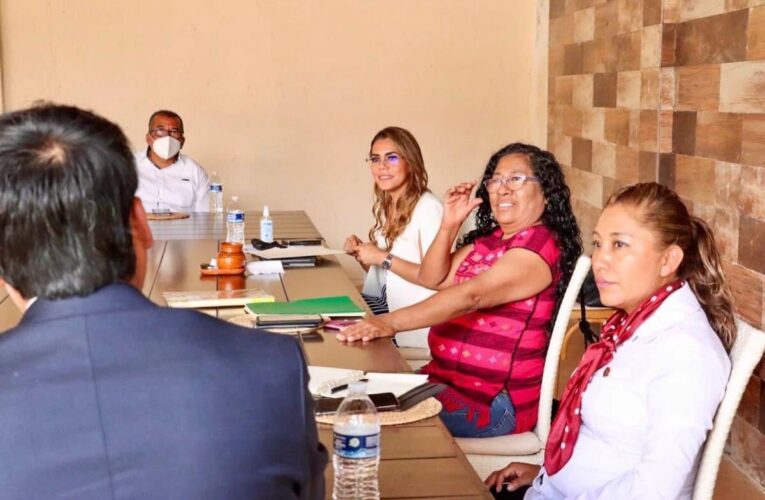 Sostiene Evelyn Salgado Pineda encuentro con legisladores federales de Morena y PT
