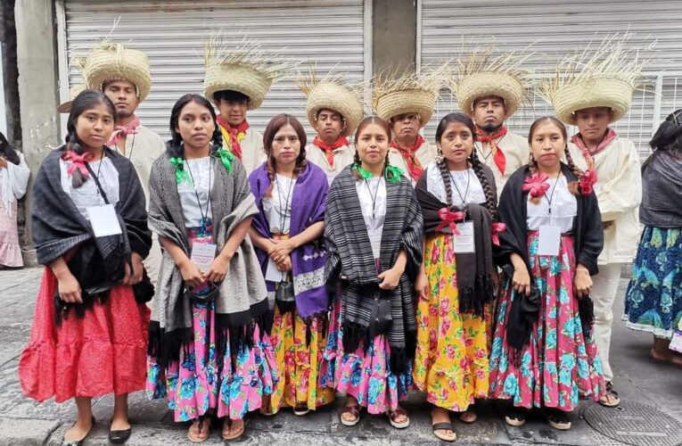 Guerrero presente en el desfile del 20 de Noviembre en la Ciudad de México.