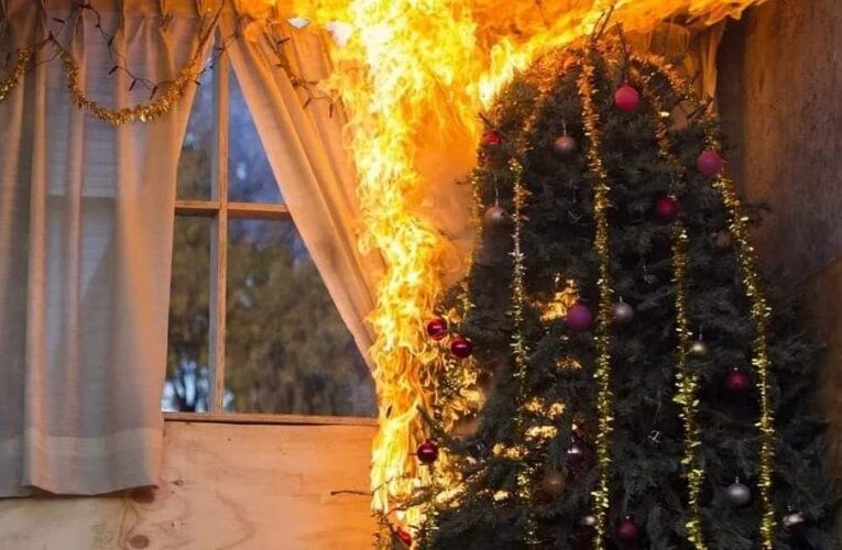 Evita accidentes! Recomendaciones de CFE para luces y adornos de Navidad 🎄🎅🏻