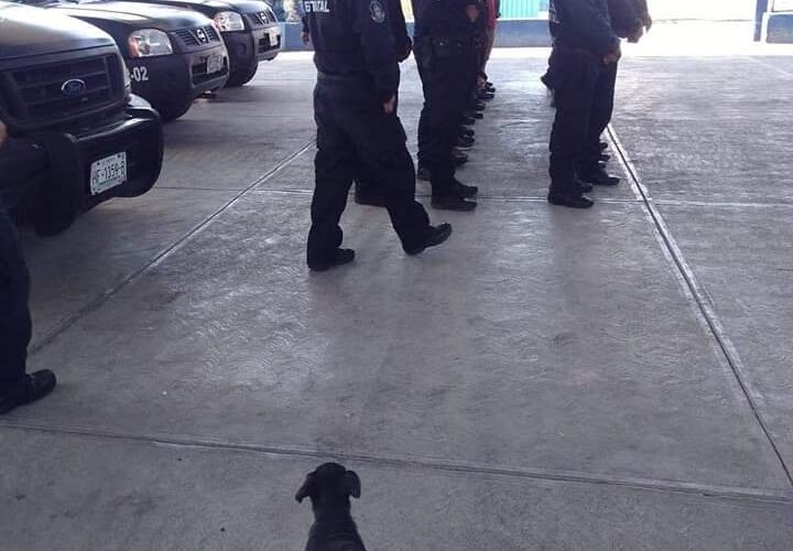 Paran labores policías estatales rurales en la sierra