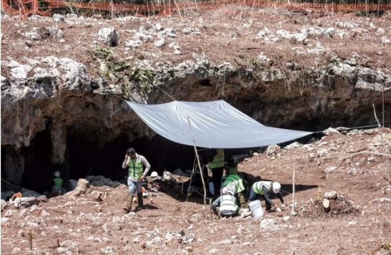 🚨📣 #playadelcarmen #cancun CONFIRMAN EXISTENCIA DE CAVERNA AL PASO DEL #TrenMaya 📣🚨