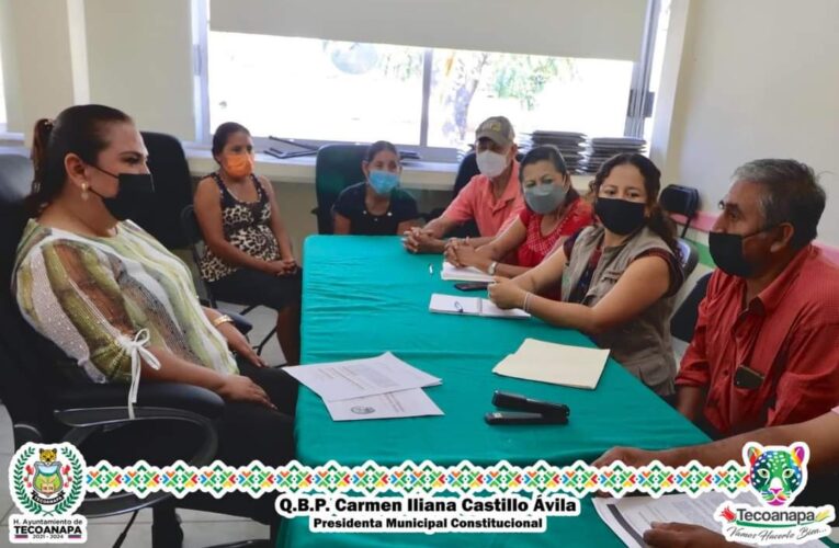 Atiende peticiones de los habitantes de pericón, la presidenta municipal de Tecoanapa ,Carmen Iliana Castillo.