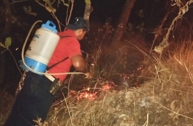 Combaten un incendio ejidatarios y Ayuntamiento de Tecoanapa.