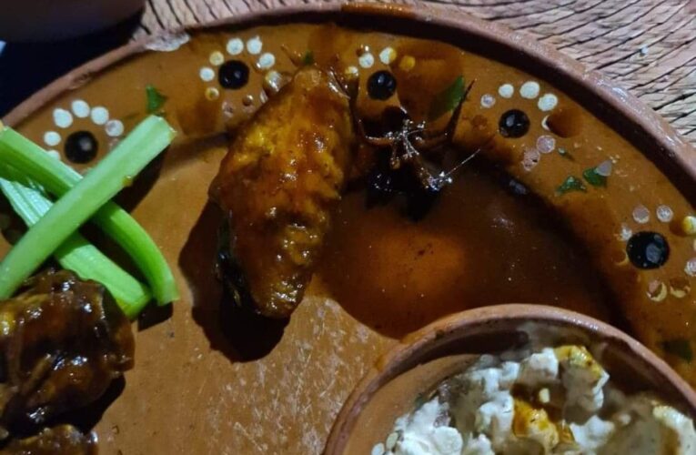 ‼️TURISTA ENCUENTRA CUCARACHA EN SU COMIDA EN RESTAURANTE SEÑOR PINTOS EN ZIHUATANEJO ‼️