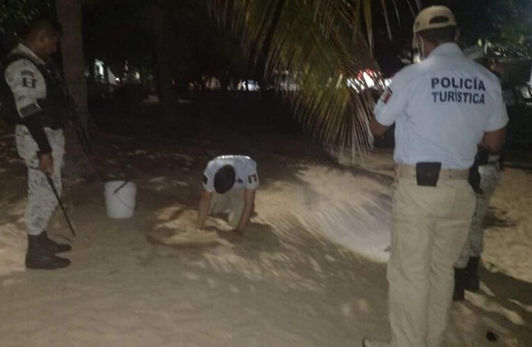 LA POLICÍA TURÍSTICA RESCATA 465 HUEVOS DE TORTUGA, EN PLAYAS DE ACAPULCO.