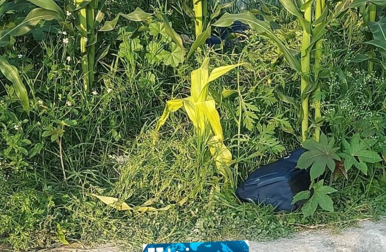 Baño de sangre en Chilapa: Triple ejecución.