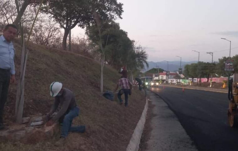 SE ROBAN 16 REFLECTORES DE LUZ EN LA ENTRADA A IGUALA.