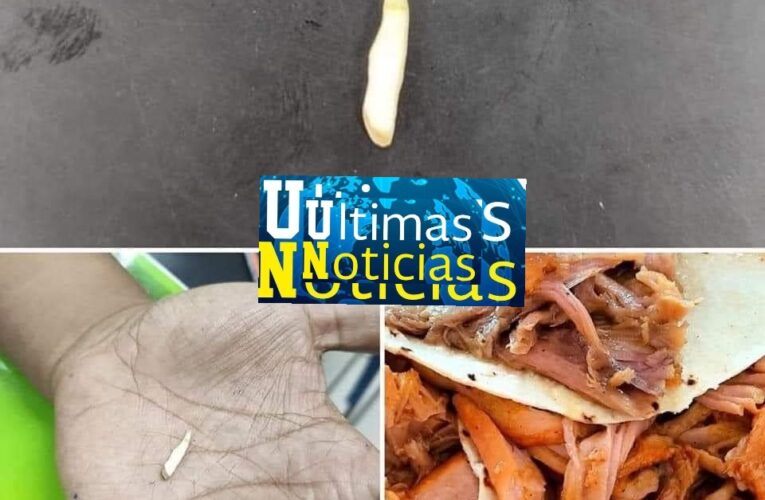 COLMILLOTE, EN RICOS TACOS DE CARNITAS DE PERRO 