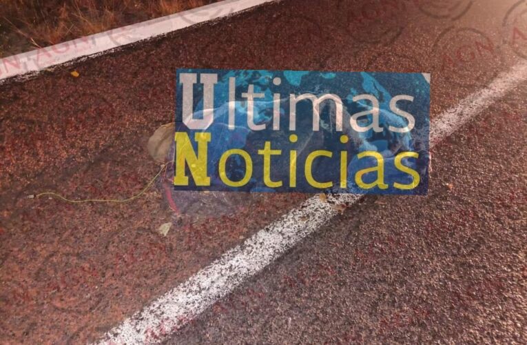 Localizan persona privada de la vida sobre el viaducto Diamante Metlapil en Acapulco.