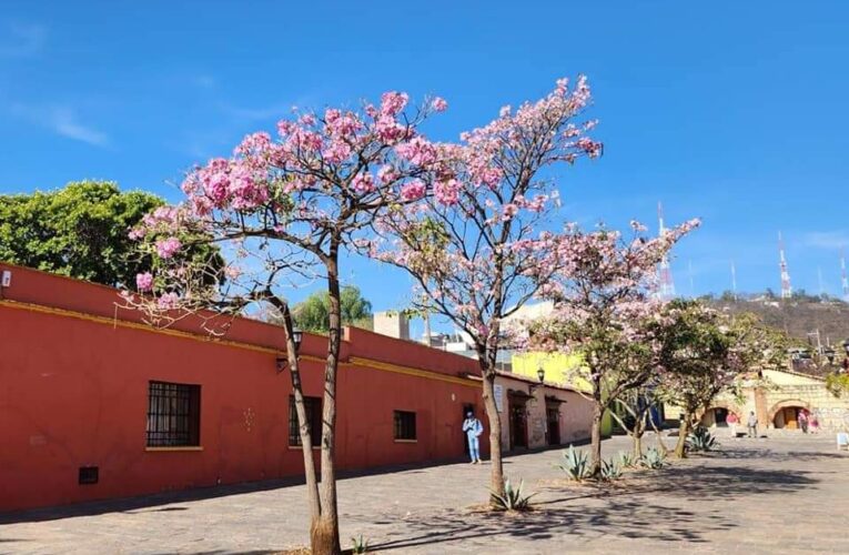 INICIA OFICIALMENTE LA “PRIMAVERA METEOROLÓGICA” EN MÉXICO.