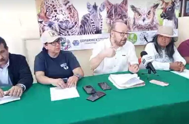 Escandaloso saqueo de animales en el zoológico de Chilpancingo: Denuncian.