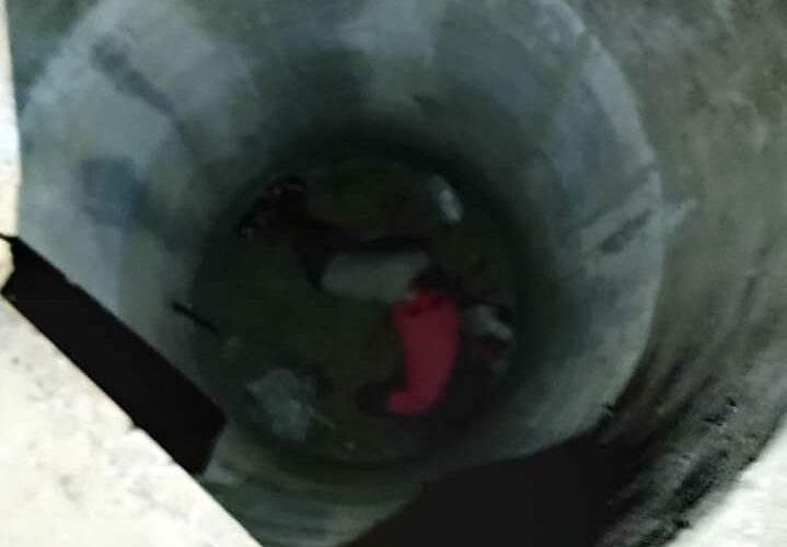Era un activista social y buscador de personas; lo asesinan y lo lanzan a un pozo artesano en Acapulco.