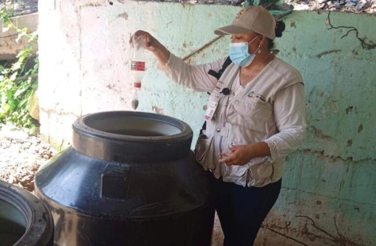 Acapulco y Costa Chica, las regiones más afectadas por dengue, alertan.