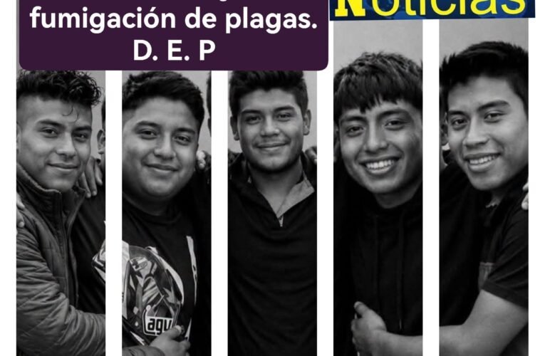 Localizan sin vida a 5 jóvenes en una cabaña; habían acudido a fumigar; autoridades investigan.